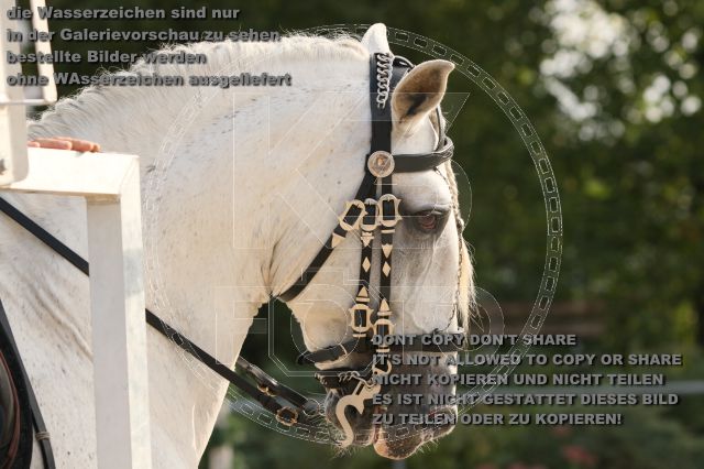 s_IMG_0864.JPG